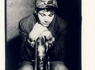 Martin Stephenson & the Daintees